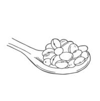 Doodle soybeans in a spoon isolated on white background vector