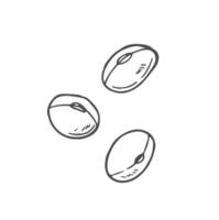 Soy bean, Soybean illustration in doodle style vector