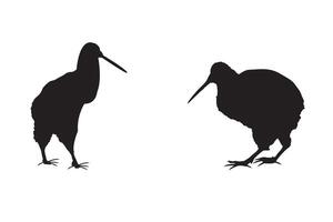 Two black silhouettes of kiwi birds on a white background vector