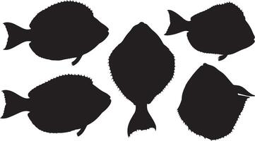 Flounder silhouettes set vector