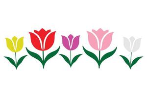 Minimalist tulip flowers on white background. Different colors of tulip. vector