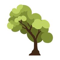 Illustrations of Various Green Trees. vector