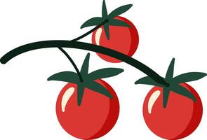 Tomato cluster on a curved stem with glossy red surfaces. Minimal cartoon style with bold shapes and solid colors. Ideal for recipe cards, kitchen wall art, vegetable guides, and grocery graphics. vector