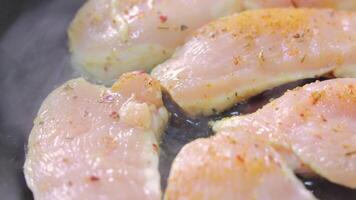 Close-up of raw chicken fillets with spices sizzling in a pan, showing the beginning of a cooking process, rich texture, and preparation of a homemade meal video
