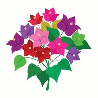 bouquet of flowers is shown on a white background. vector