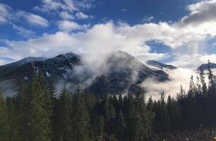 A mountain landscape partially covered in snow and mist, surrounded by dense evergreen trees, under a bright blue sky. photo