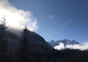 A scenic view of snow-covered mountain peaks with mist rising over the slopes, set against a bright blue sky and evergreen trees in the foreground. photo