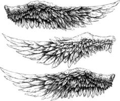 A set of three angel wings. vector