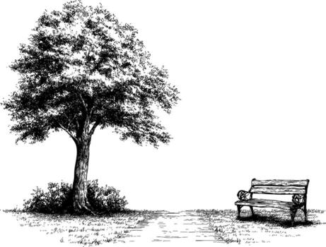 Old oak with an empty bench under it, a illustration, hand -drawn vector