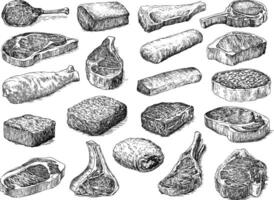 A set of products, including lamb and pork, beef steak and beef minced meat vector