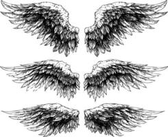 A set of three angel wings, a hand-drawn vector