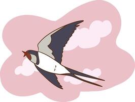swallow bird flying in the sky vector
