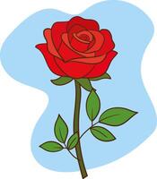 Red rose illustration with stem and leaves on a white background vector
