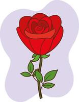 Red rose with stem and leaves on a white background vector