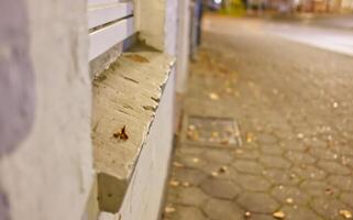Close-Up of a Textured Wall at Night photo