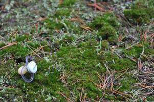 Pacifier on Mossy Forest Floor photo