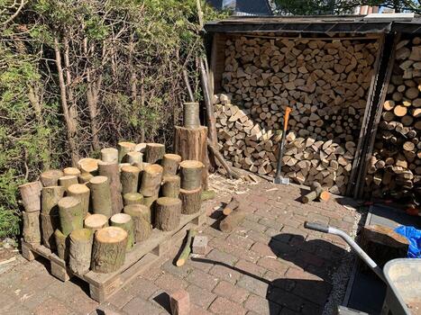 Neatly Stacked Firewood in a Garden photo