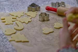Baking Holiday Cookies with Cookie Cutters by a child photo