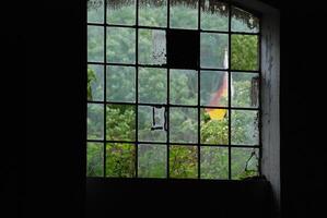 View Through an Old Window with Greenery and Flag photo