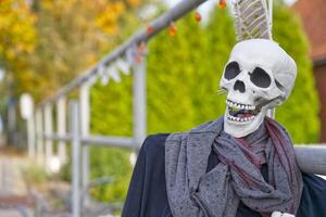 Skeleton in Scarf and Jacket with Autumn Background photo