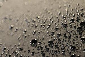 Close-Up of Water Droplets with Bokeh Effect photo