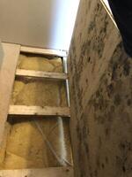 Moldy Flooring with Exposed Insulation photo