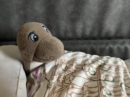 Cozy Plush Turtle Toy Under Blanket photo