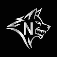 the logo for a team called n . vector