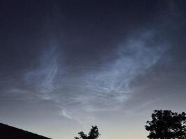 Twilight Sky with Wispy Clouds and Silhouetted Trees photo
