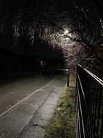 Dimly Lit Night Pathway with Trees and Fence photo