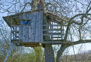 Rustic Wooden Treehouse in a Tree photo