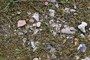 Textured Ground with Stones and Moss photo