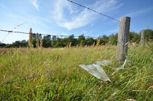 Barbed Wire Fence in Grassy Field photo