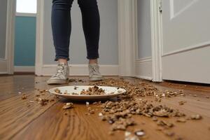 A woman standing in front of a bowl of cereal photo