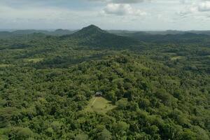 An aerial view of a forested area with a house in the middle photo