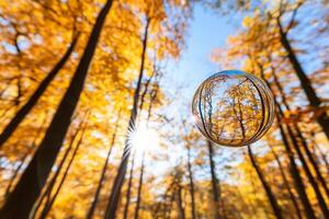 A bubble with a reflection of trees in the background photo