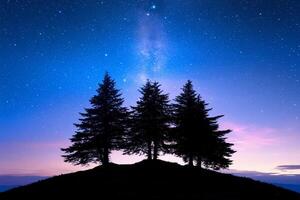 Three trees stand on a hill at night with the milky way in the background photo