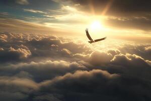 An eagle flying over the clouds at sunset photo