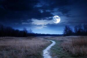A path leads to a moonlit field photo