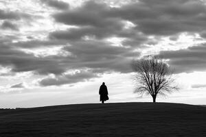 A lone tree stands on a hill under a cloudy sky photo
