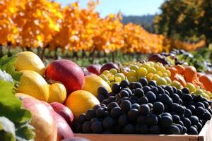 A variety of fruits and vegetables are displayed in a field photo