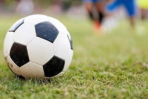 A soccer ball on the grass in front of a soccer field photo