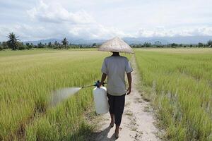 A man with a hat on is walking through a rice field photo