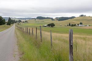 A road with a fence and a grassy field photo