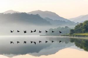 A flock of birds flying over a lake with mountains in the background photo