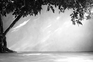 Black and white photograph of a tree in front of a wall photo