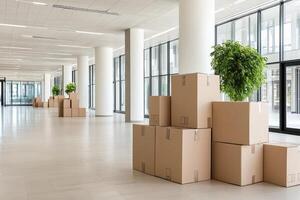 A large room with many boxes and plants photo