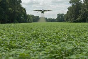 A plane is spraying a field of green plants photo
