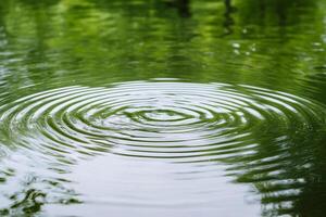 A circular ripple in a pond with green trees photo