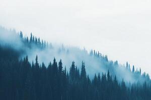 A mountain with trees and fog in the background photo